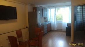 Отель Apartament Ana Poiana Brasov  Брашов